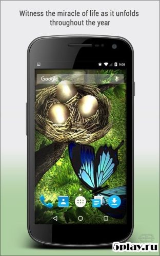 免费下载Season Zen HD 2.1.1(完整版)-魔盒网