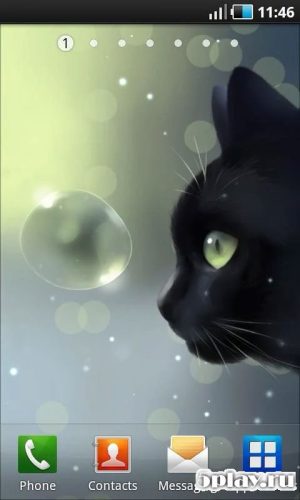 免费下载Curious Cat 1.4.1 Android-魔盒网